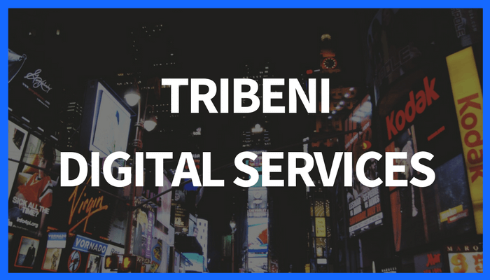 Tribeni Digital Services